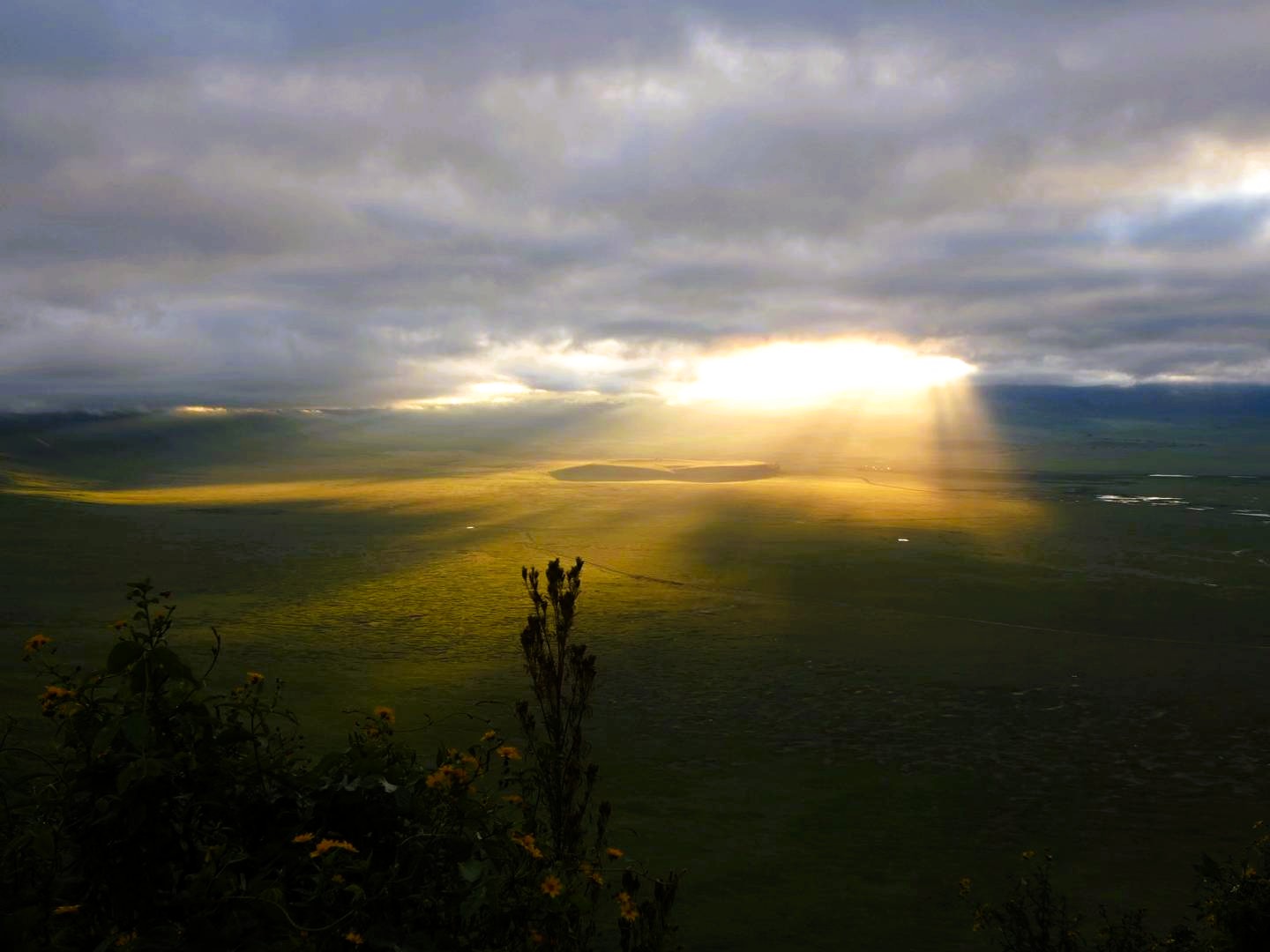 Tarangire and Ngorongoro safari blog image
