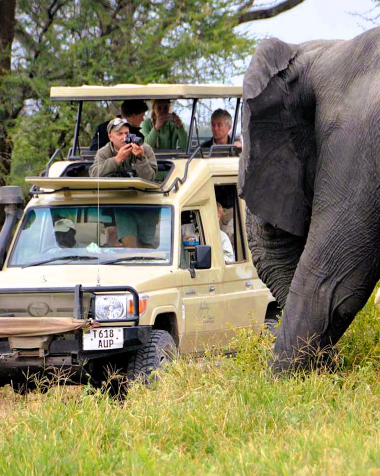 Tanzania safari lodge accommodation with luxury tents and sunset view