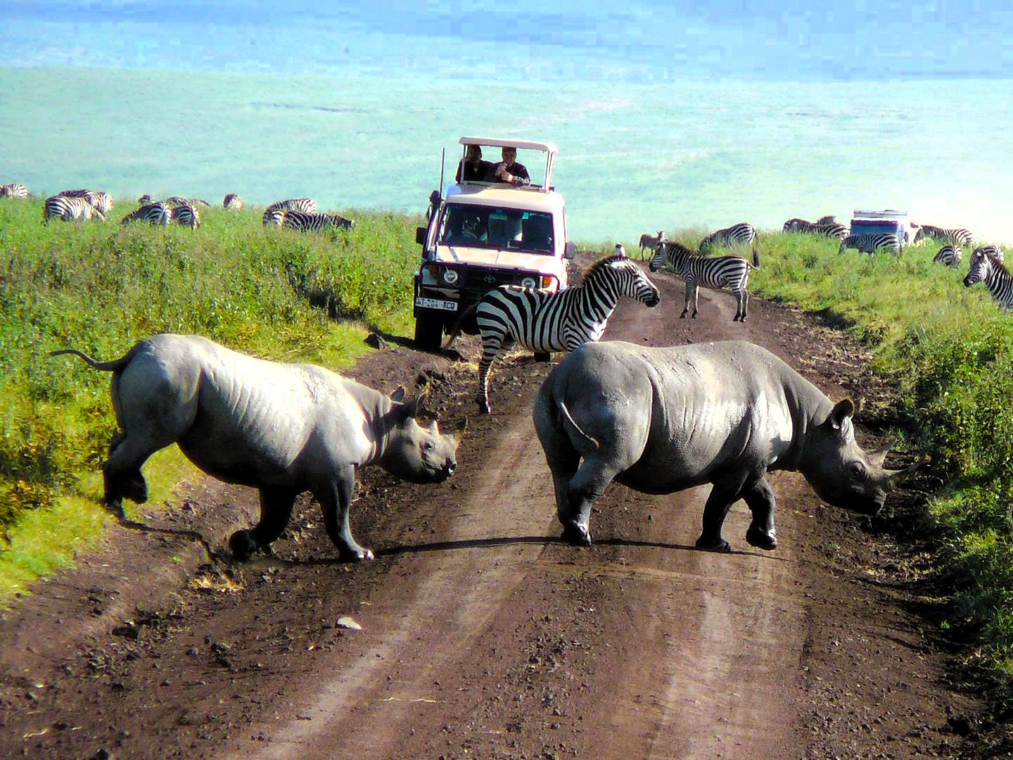 5 days tanzania safari package