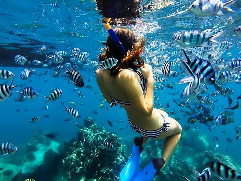 Bawe Island snorkeling tour image