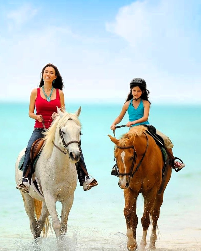 Horse riding tour activity