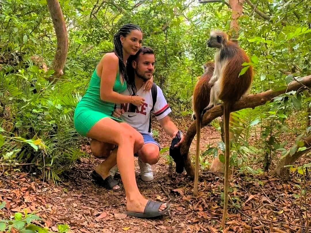 Jozani Forest walking tour image