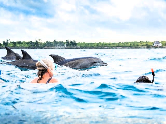 Kizimkazi dolphins tour image