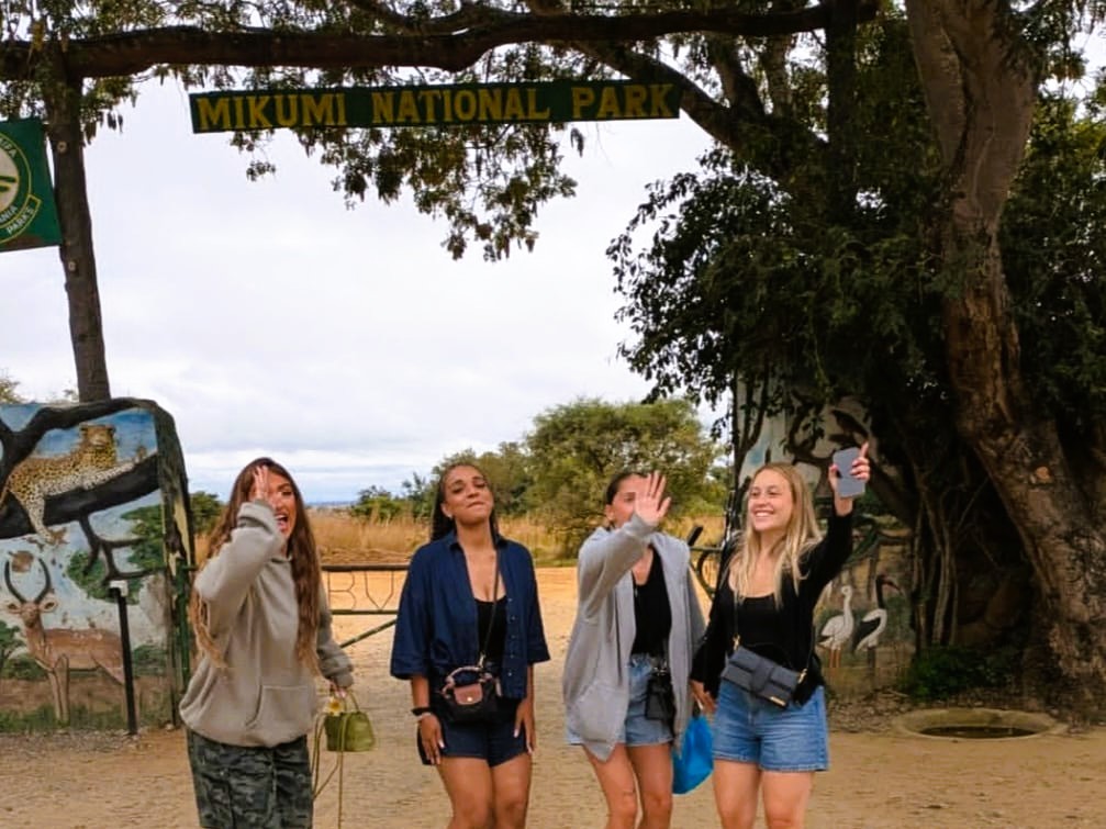 Mikumi day trip safari vehicle in grassland