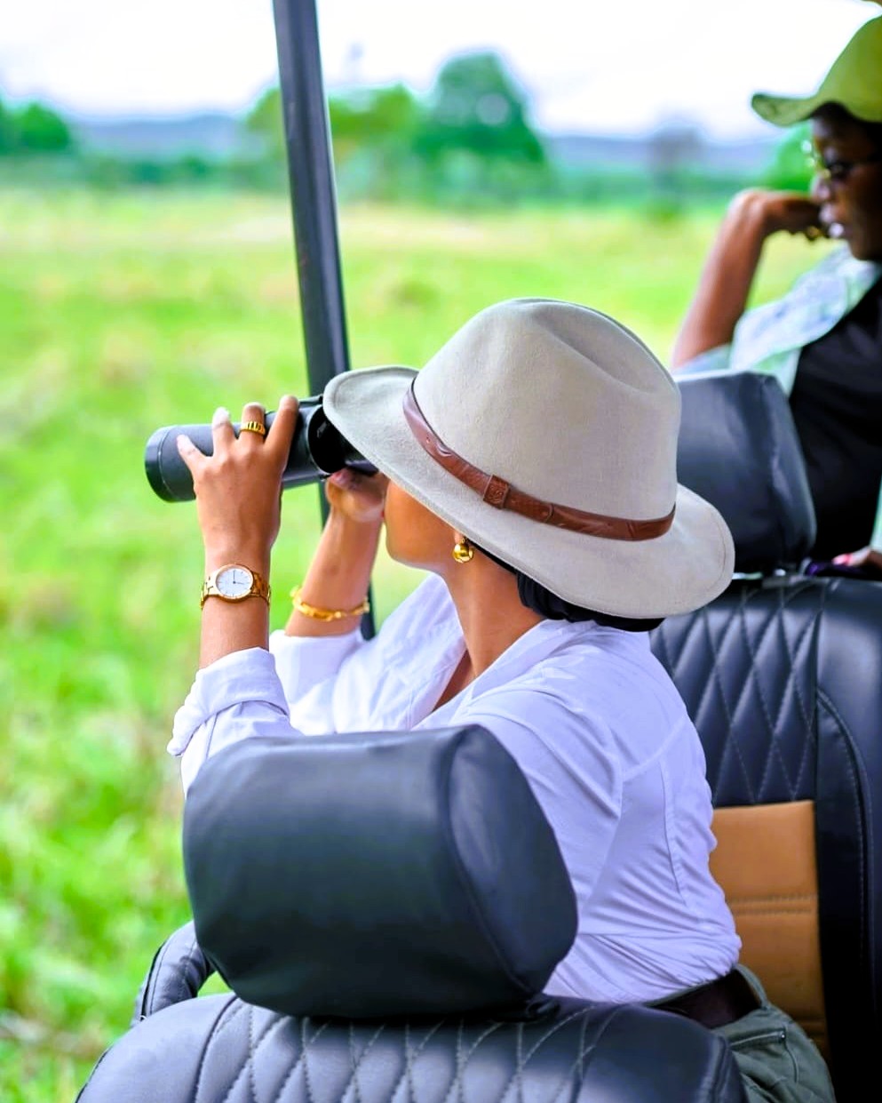 Ngorongoro Crater landscape with vast volcanic formations and wildlife