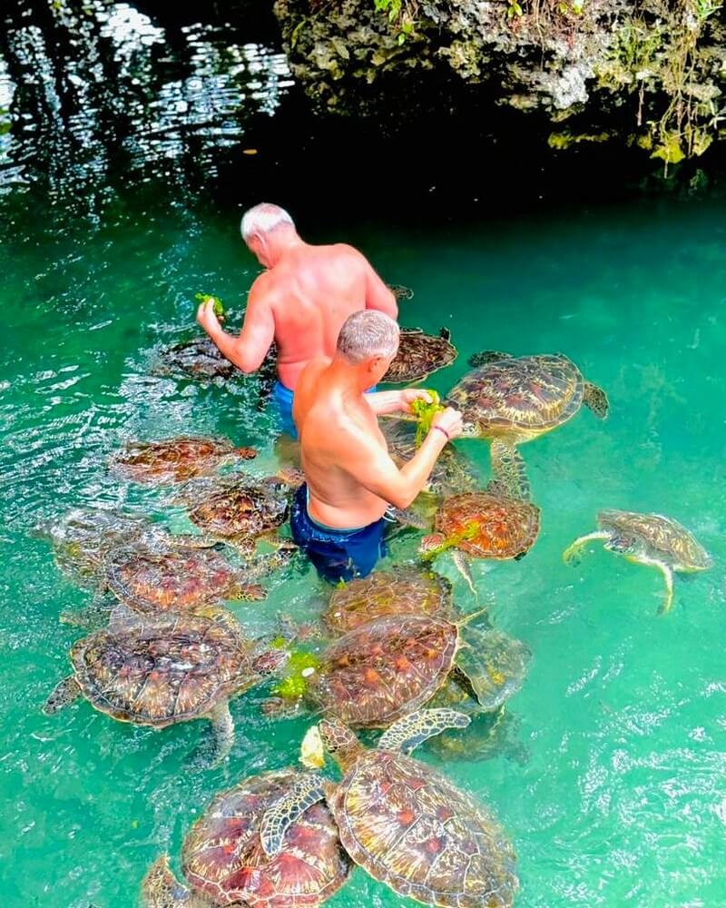 Travelers enjoying Baraka Aquarium tour activities