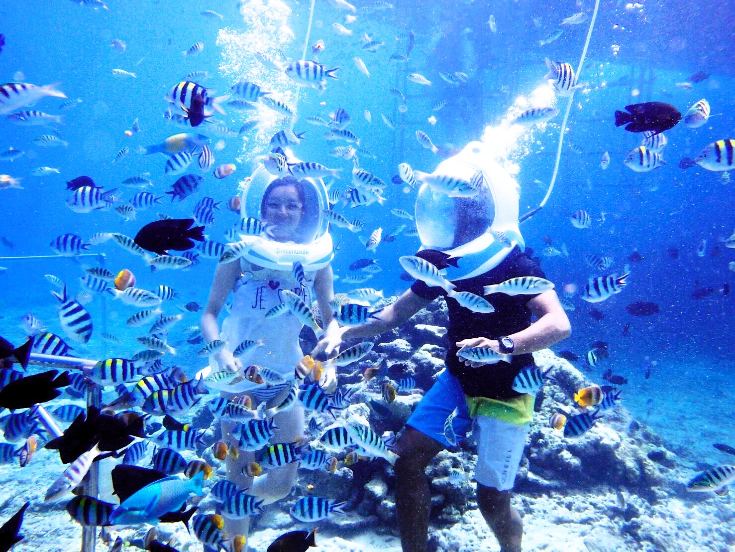 Zanzibar Sea Walk tour image