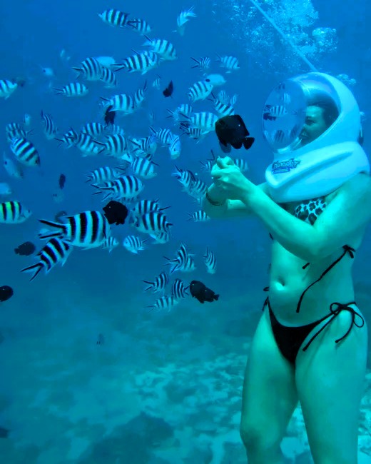 Sea walk activity in Zanzibar with marine views